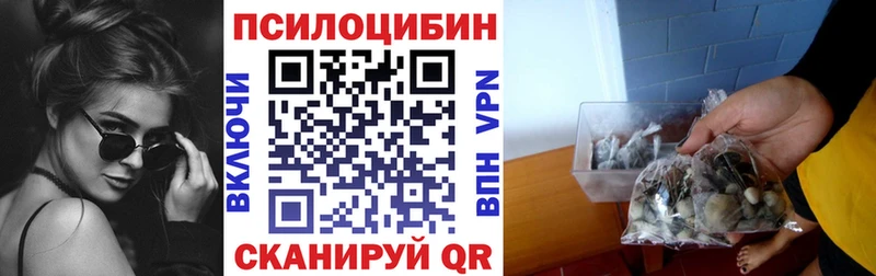 Галлюциногенные грибы Cubensis  Астрахань 