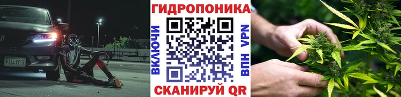 Шишки марихуана индика  даркнет сайт  Астрахань 